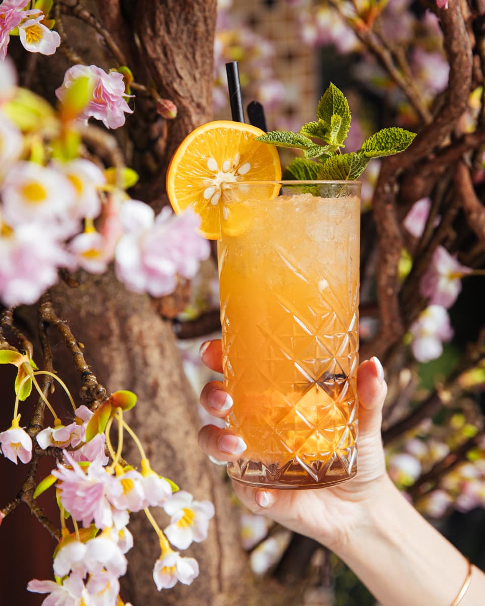 Cocktail met kersenbloesem